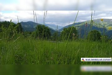 11_77.jpg