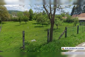 1_1075.jpg