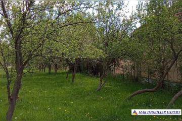 1_1193.jpg