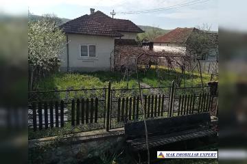 1_1237.jpg