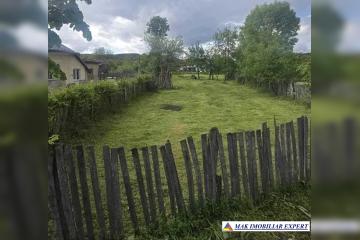 1_990.jpg