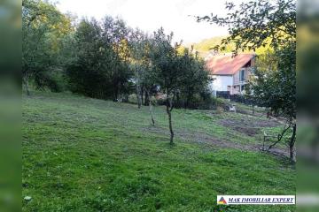 3-Copie_13.jpg
