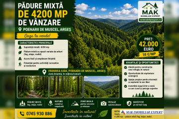 8daed5e2-ff54-4cd7-8394-08557325cd14.png
