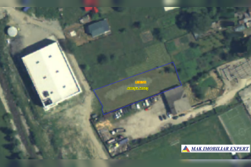 Captură-de-ecran-2025-06-01-005356.png