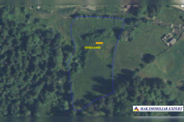 Captură-de-ecran-2026-06-03-115141.png