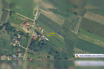 Captură-de-ecran-2025-06-30-001825.png