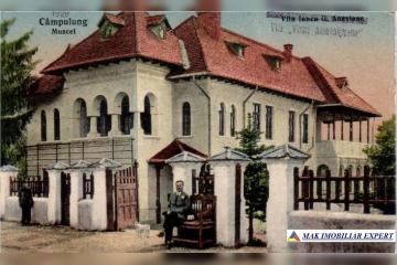 alimanisteanu.JPG