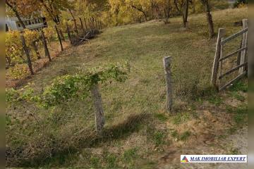 repo_26265_6a0397cbf0c41.jpg