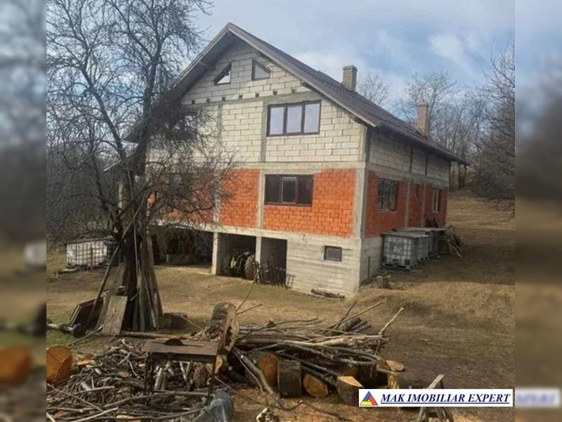 1_1091.jpg 1_1091.jpg