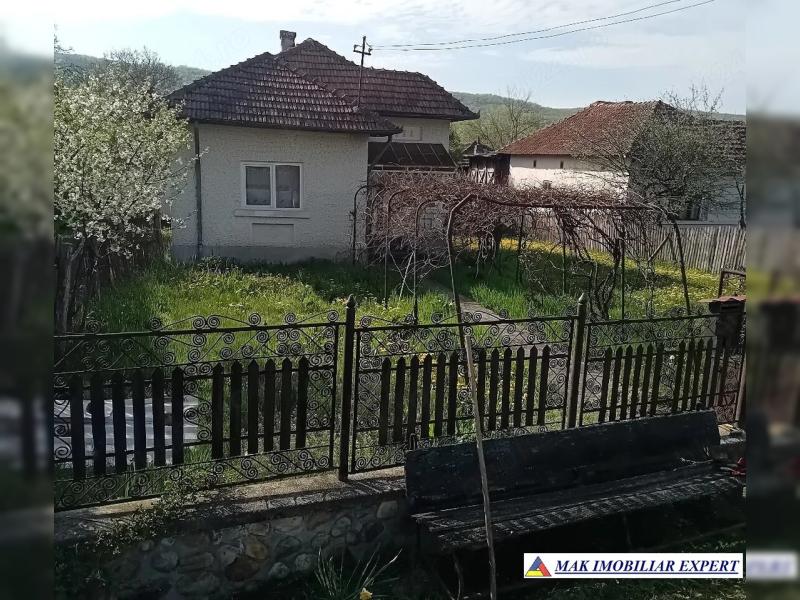 1_1237.jpg