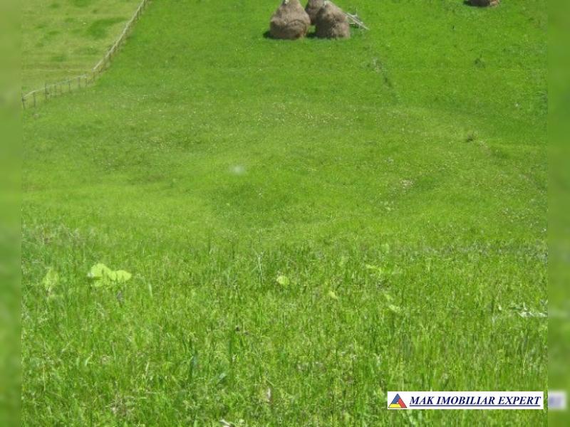 493055_teren-extravilan-2800-mp-sat-podul-dambovitei-jud-arges_8.jpg