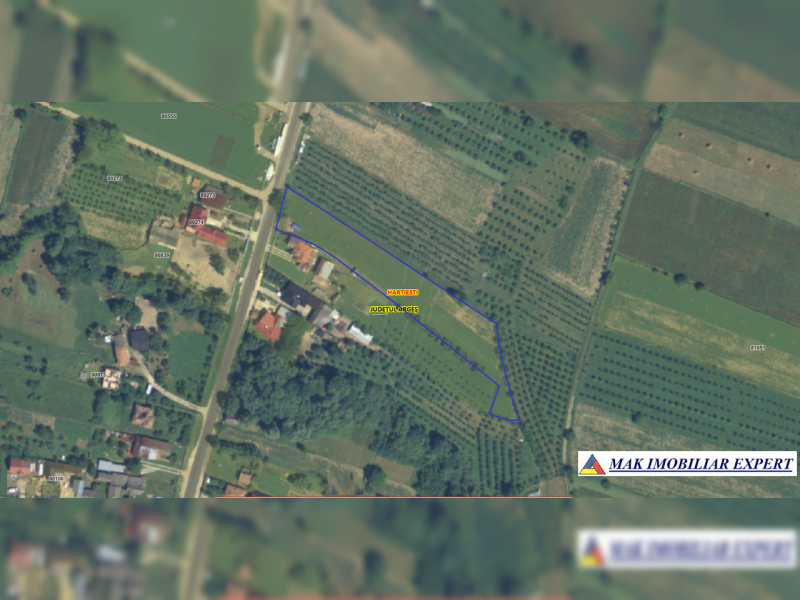 Captură-de-ecran-2025-06-30-001825.png