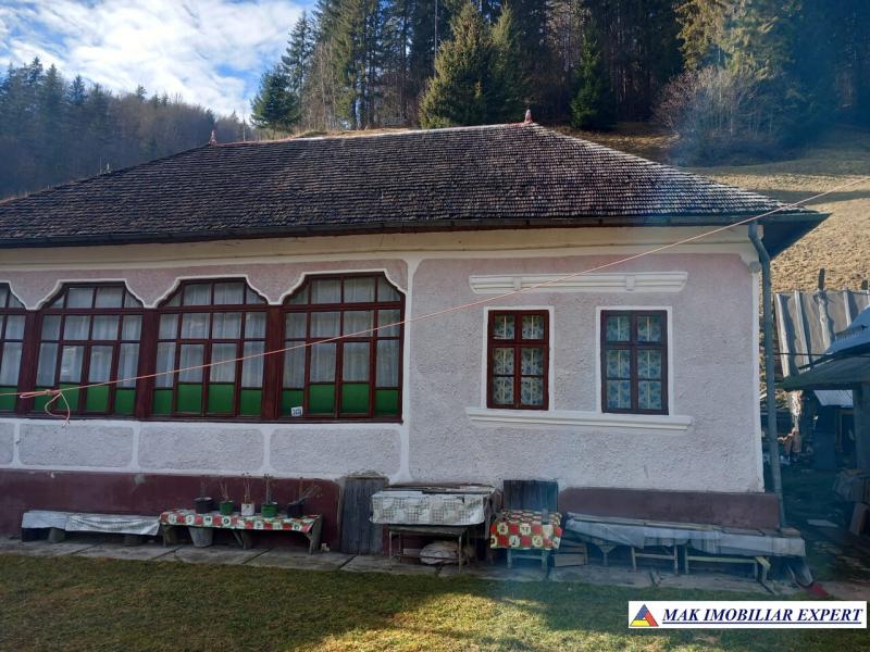 afd2f772-8db7-463f-a0f6-de14409762a6.jpg