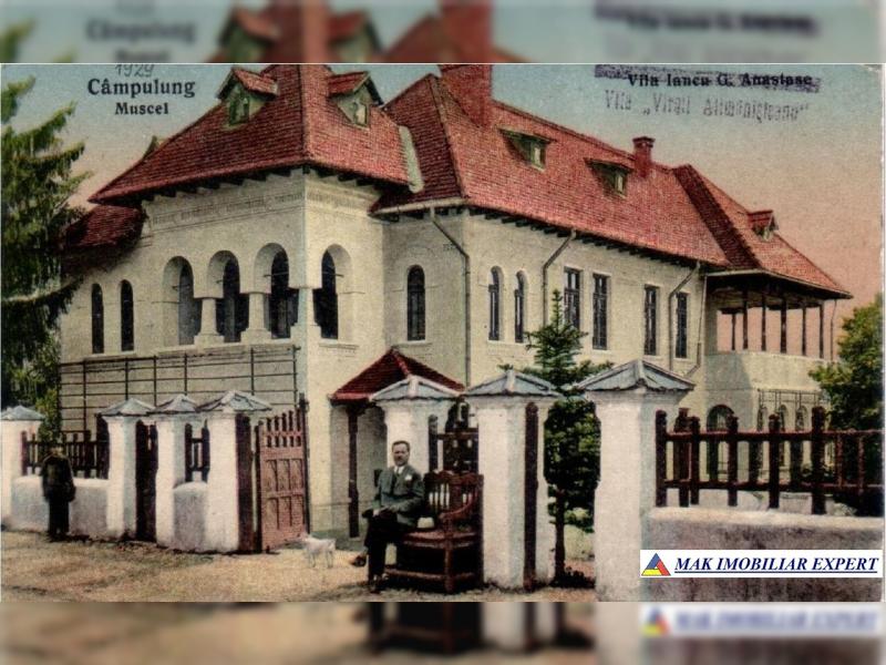 alimanisteanu.JPG