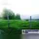 2126_14.jpeg