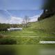 4_869.jpg