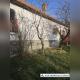 7_44.jpeg