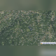 Captură-de-ecran-2025-07-23-143910.png