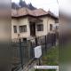 Imagine-WhatsApp-2025-02-17-la-11.26.58_0d1910fa_1.jpg
