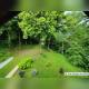 Imagine-WhatsApp-2025-06-21-la-00.04.23_b5af8ffa.jpg