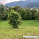 Imagine-WhatsApp-2025-07-10-la-15.14.50_11472c2f.jpg