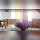 Screenshot_2020-01-29-Casa-cu-lavanda-Campulung-Căutare-Google12.png