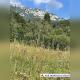 repo_27075_6a988552d4450.jpg